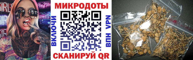 купить   Козловка  Галлюциногенные грибы мицелий 